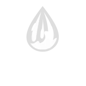 pingo-de-ouro-logo